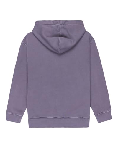 Sweat Element Lowcase Pigment Po pour garçon en coton confortable
