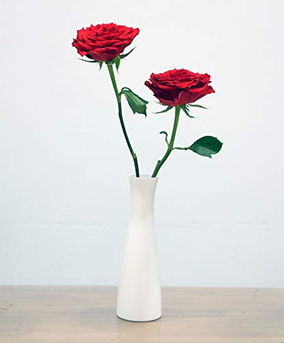 Tall Conic Composite Plastics Flower Vase, Small Bud Decorative Floral Vase Home Decor Centerpieces, Arranging Bouquets, Connected Tubes (Wide Caliber) - Image 4