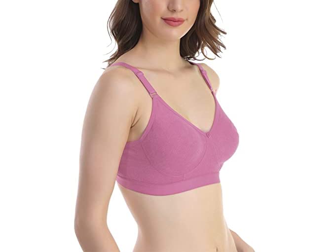 Image of SKDREAMS Blue & Brown & Purple-32D Cotton Blend Seamless Non Padded Non-Wired Full Coverage Pack of 3 Women T-Shirt Bra Combo