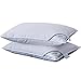 ANALIN 2 pack Goose Feather Down Pillows, 100% Cotton Shell, Non-allergenic & Anti dust mite, Soft Hotel Quality Pillows (50% Goose Down)