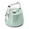 Caraway 2 Quart Whistling Tea Kettle Durable Stainless Steel Tea Pot Fast Boiling Stovetop Agnostic Non Toxic PTFE PFOA Free Includes Pot Holder Mist