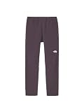 [THE NORTH FACE] [ザ・ノース・フェイス] ロングパンツ Alpine Light Pant エンドレスダスク L