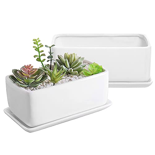 Image of MyGift White Ceramic Succulent Planter with Drainage & Saucer, 2 Pack