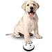 Dokeno 2 Stück Hund Trainingsglocken Haustier Trainingsglocken für Hundekatzen Trainingsglocken für Haustiere Hund Türklingel für Potty Trainingsglocken Töpfchentraining Kommunikationsgerät für Hund
