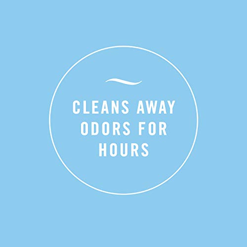 Febreze Air Freshener, Noticeables Air Freshener, Meadows & Rain Dual Refill Air Freshener (2 Count, 1.75 Oz)