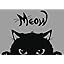 Meow Cat grey / black