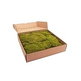 ✅ VERSATILE E NATURALE PER DECORAZIONI: perfetto per l’allestimento di Terraio o altre composizioni floreali o Presepi
