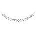 Cheer To 25 Years Banner -Happy 25 Years Old Birthday Party 25th Anniversary Party Decoration Bunting Silver