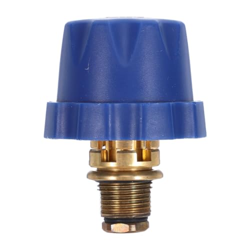 Veemoon Accessoire pour nettoyeur vapeur de bijoux, 2 L
