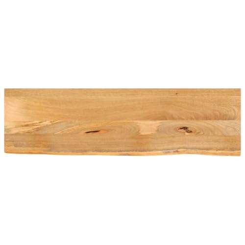 vidaXL Tischplatte, Holzplatte mit Baumkante, Massivholzplatte für Esstisch Couchtisch, Ersatztischplatte, 100x20x2,5cm Massivholz Mango