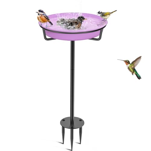 VeyFolzin.st - VeyFolzin.st Abreuvoir pour oiseaux - Grand bol de nourriture - Point d'eau debout - Bain d'oiseaux - Bain pour oiseaux sauvages - Grand - Résistant au gel - Violet