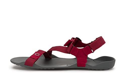 Image of Xero Shoes Men's Z-Trek Barefoot Hiking Sandals