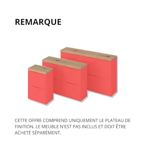RETIMBER Works Trones Plaque en Bois de chêne, pour 2 trônes, 102,6 x 15,9 x 2 cm, Plaque de recouvrement pour Armoire à Chaussures, Plateau en chêne Massif