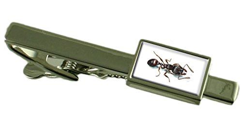Select Gifts APS479DTCENGBOX