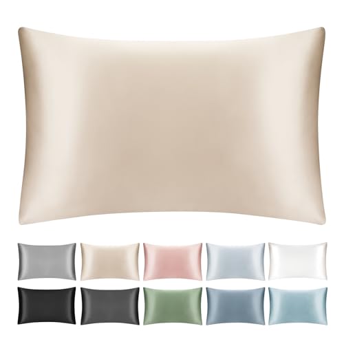 SILKTALE Funda de almohada 100 % seda de morera con cremallera oculta, funda de almohada transpirable de seda pura en ambos lados para cabello y piel, 19 momme grado 6A, 1 unidad, beige, tamaño Queen