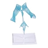 Brains Ventricle Demonstration Tool Including Acrylic Stand for Teaching Applications Clear Cerebral Model Model