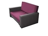 Schlaffläche: 112x200 cm Mirjan24 Schlafsofa Iryda, zweisitzer Polstersofa mit Bettkasten, Sofa Bettfunktion, Couch mit Schlaffunktion, Wohnlandschaft, Bettsofa, Funktionsofa (Lux 06 + Haiti 11)