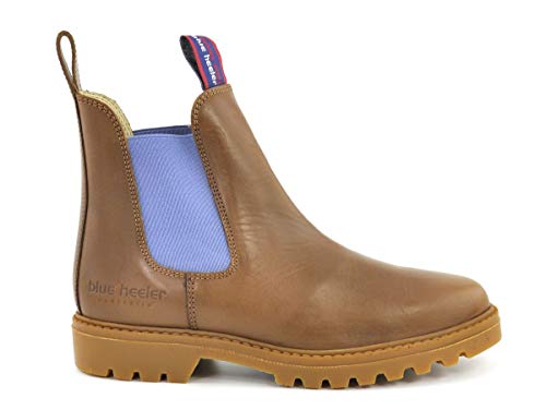 blue heeler chelsea boots