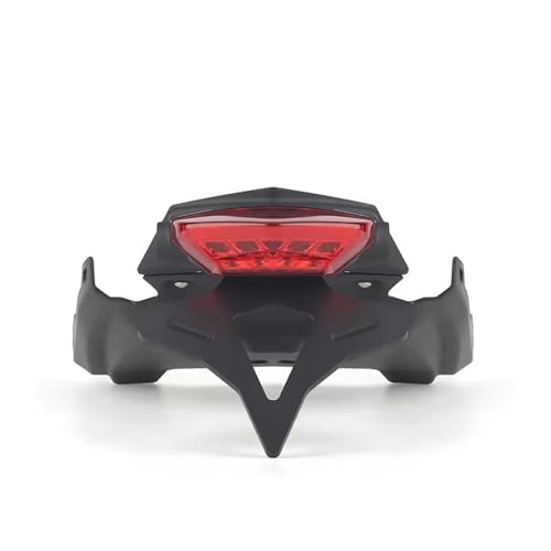 Support plaque d'immatriculation arrière moto avec LED pour BMW F900R 2020-2024