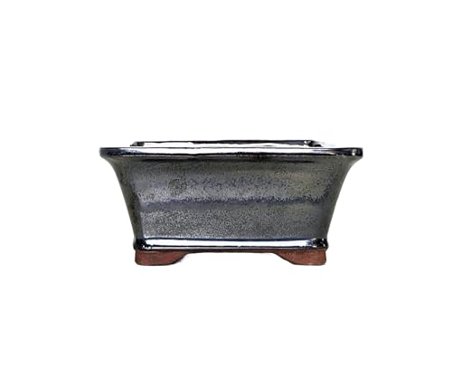 Glazed Ceramic Bonsai Pots without trays (Grey, 16cm)