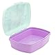 Stor RECHTECKIGE BROTDOSE | FROZEN ICE MAGIC, Bunt