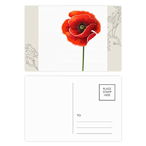 Carte postale de fleur pour un merci chaleureux, lot de pavots rouges 20pcs