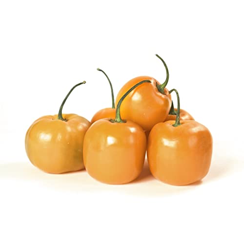 Pepper Joe’s Manzano Orange Pepper Seeds ­­­­­– Pack of 10+