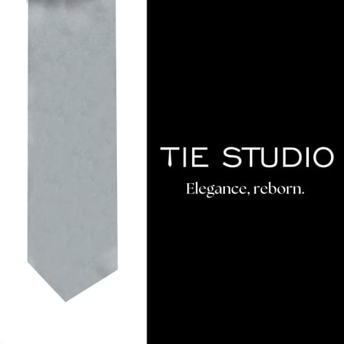 Image of TIE STUDIO Mens Formal Neckties| Standard Size | Premium fabric | Superior finishing| Packaging - Folder | Set of 1