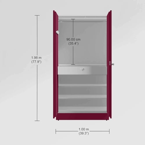 Image of Interio by Godrej Auraline Men Basic 2-Door Steel Almirah (Textured Berry) (1-Year Warranty, 4 Shelves, 1 Drawer)
