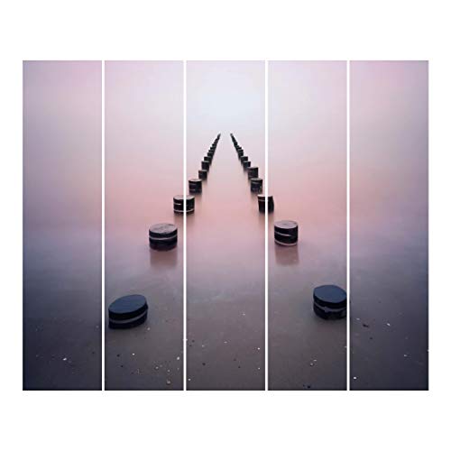Bilderwelten Cortinas de Panel japonés Zen On The Beach Sin Montaje, 250 x 300cm