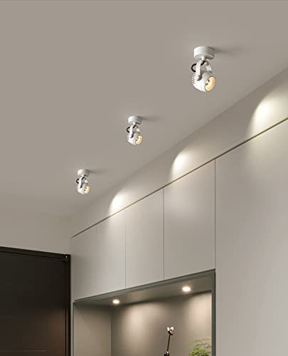 Plafond vintage avec douille 1x GU10 socket et spot orientable - 2