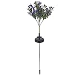 Luces Solares para Jardín Phalaenopsis, Decorativas para Exteriores, Carga Automática, Práctica, Larga Duración de la Batería, Fuente de Luz Estable, 30 LED, Lámpara de Césped para Jardín