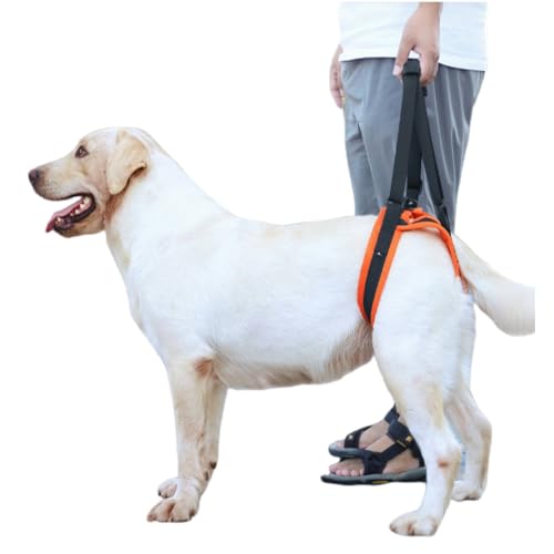 Pettorina per sollevamento cani, supporto per le zampe posteriori, morbido passante per cani, supporto per cani con zampe posteriori deboli, età avanzata, lesioni, disabilità L