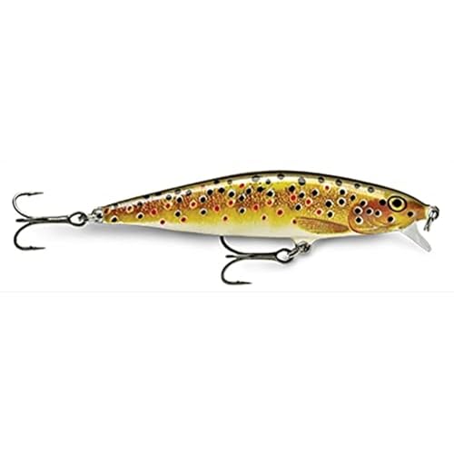 ���p��(Rapala) RAPALA �t���b�g���b�v 8cm 7g FLR8 �u���E���g���E�g
