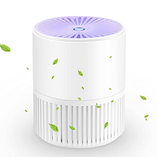 Best Air Purifiers Consumer Reports Reviews in 2023