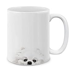 White Teacup Pomeranian