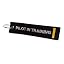 Pilot in Training 1 Gold Stripe