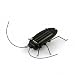 eFashion Solar Power Energy Cockroach Fun Gadget Office School