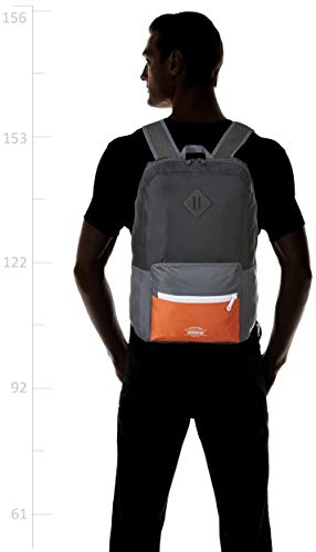 american tourister packable backpack