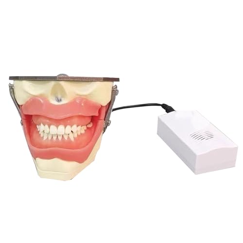 How long can a dead tooth stay in your mouth How long can a dead tooth stay in your mouth