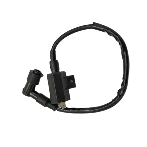 Bobina de encendido para ATV 220 y Suzuki LT80, repuesto de alta compatibilidad 4