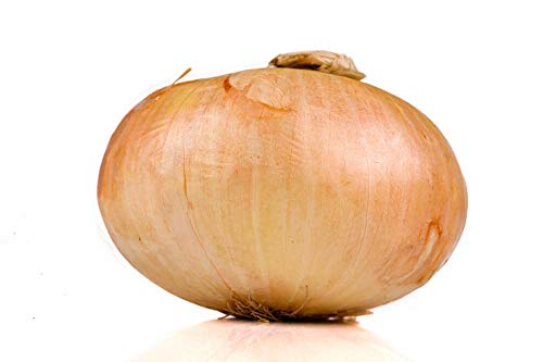 1 Pound Whole Sweet Candy Onion -Country Creek Acres Brand- Sweet, Tasty, and Full of Nutrients!
