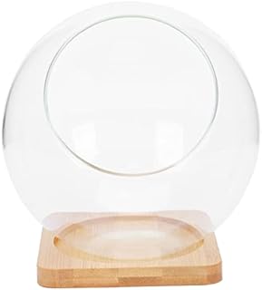 YARNOW Glass Terrarium Vase Bubble Bowl Pot Slant Cut Globe Mini Display Tabletop Transparent for Candy Plant Home Office Decor