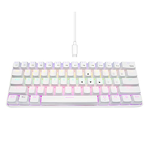DGG 60 Percent Compact Mechanical Gaming Keyboard,Wired 61 Key RGB Mini Gaming Office Blue Switches Keyboard for Windows/MacOS/Unix/Linux, White