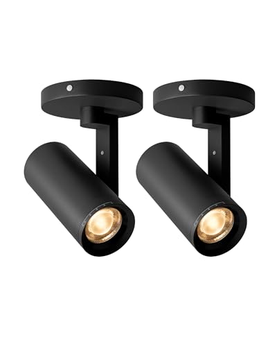 Aisilan 2 Pack Black Zoomable Spotlight 12W LED Dimmable, Adjustable Beam Angle 10°-55°, Rotatable Single Spotlights CRI 97
