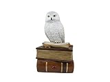 Caja de joyería con diseño de búho de World of Wonders Secrets of Alchemy Wizard School | Joyero para mesitas de noche | Decoración mágica – 9 pulgadas