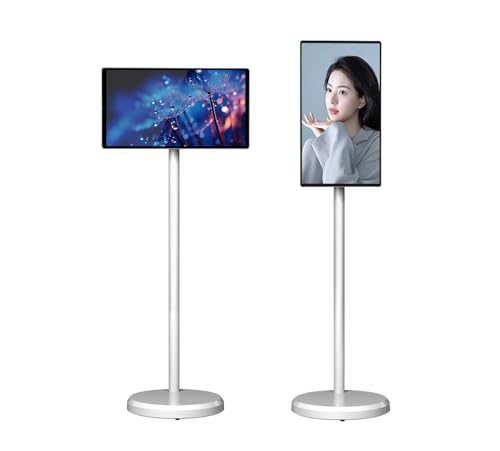 portable tv