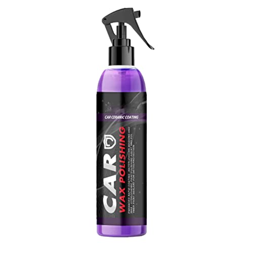 Protector Rápido para Coche Spray 100ml miniatura 1