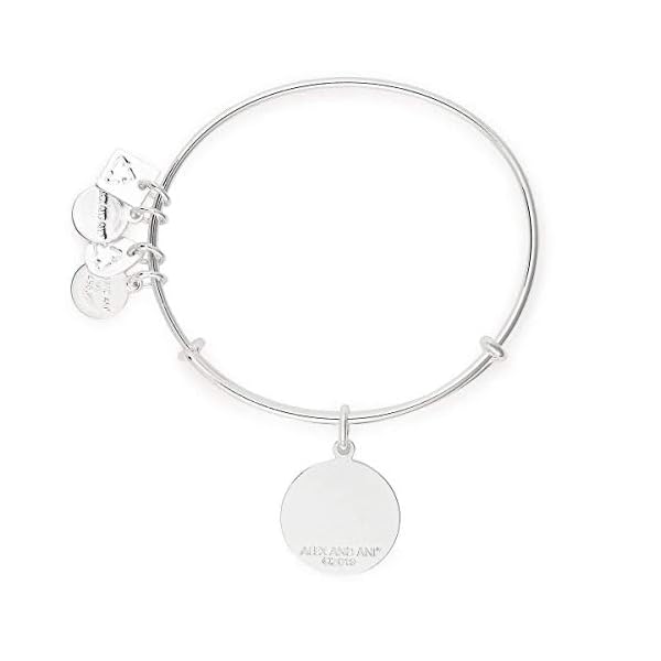 Alex-and-ANI-Path-of-Symbols-Expandable-Bangle-for-Women-Arrows-of-Friendship-Charm-Shiny-Finish-2-to-35-in Alex and Ani Path of Symbols Expandable Bangle for Women, Arrows of Friendship Charm, Shiny Silver Finish, 2 to 3.5 in