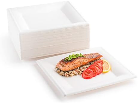 brheez 10 inch Disposable Plates Paper Plates Alternative Compostable Plates Heavy Duty [Pack of 60] Eco-Friendly 100% Natural Sugarcane Bagasse Fiber Biodegradable